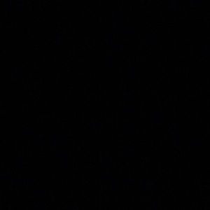 Meet your Posher, Tamar